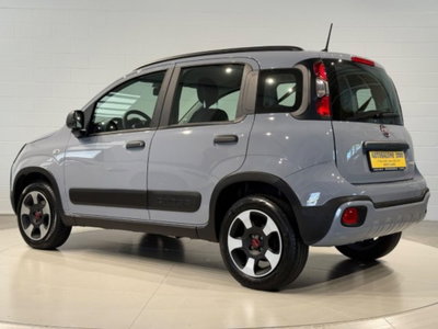 Fiat Panda Cross 1.0 firefly hybrid Cross s&s 70cv 5p.ti (3)