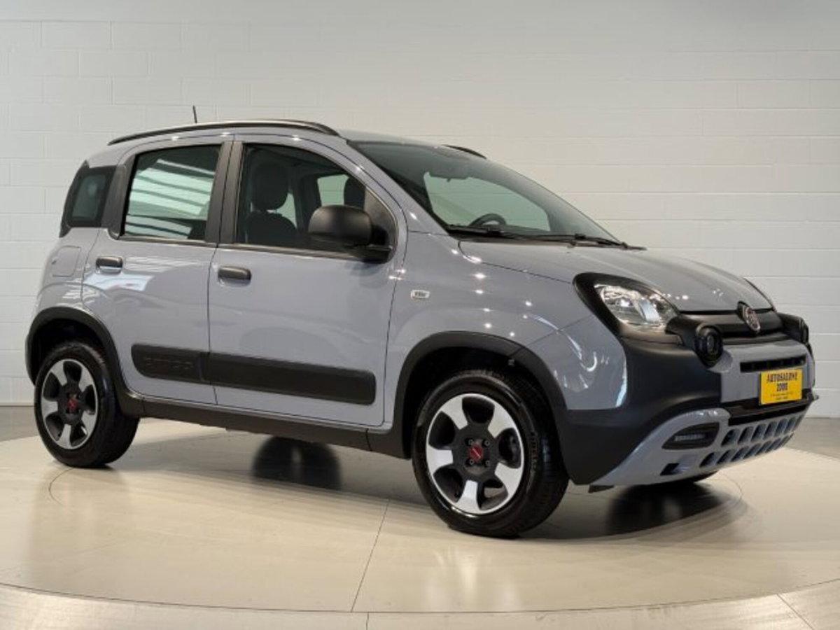 Fiat Panda Cross 1.0 firefly hybrid Cross s&s 70cv 5p.ti (7)