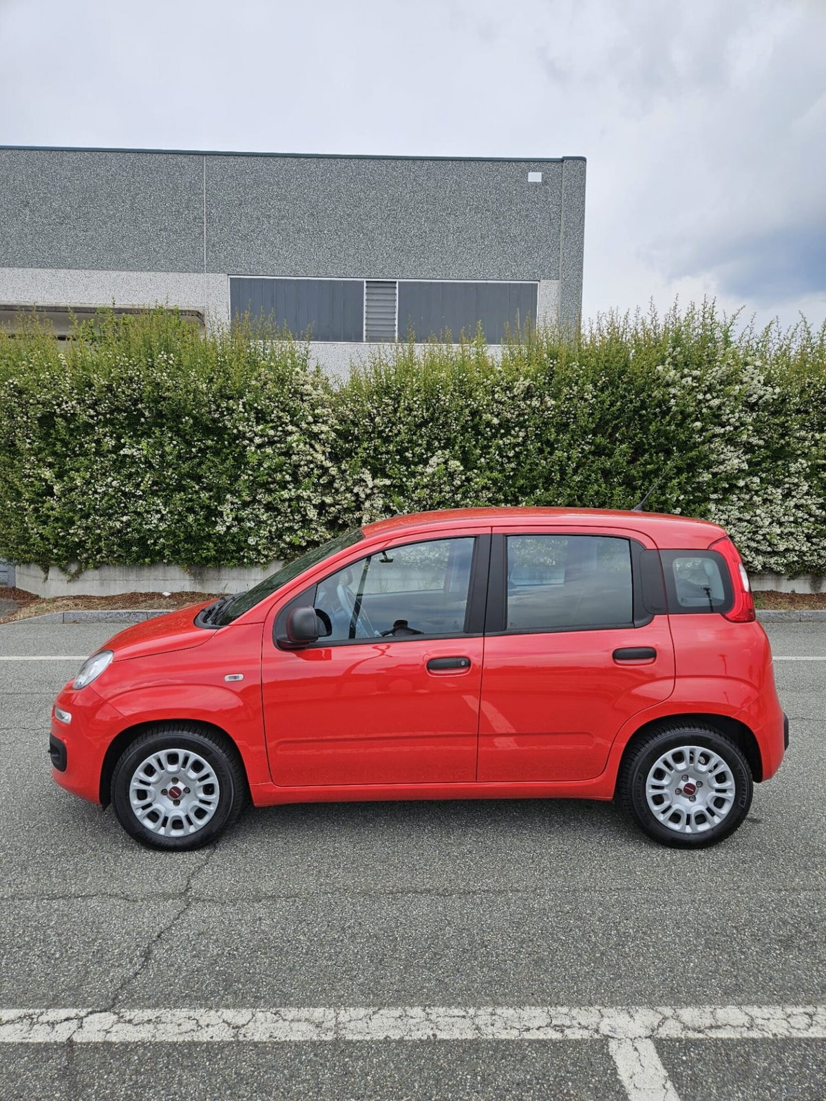 Fiat Panda Cross Cross 1.0 FireFly S&S Hybrid (5)