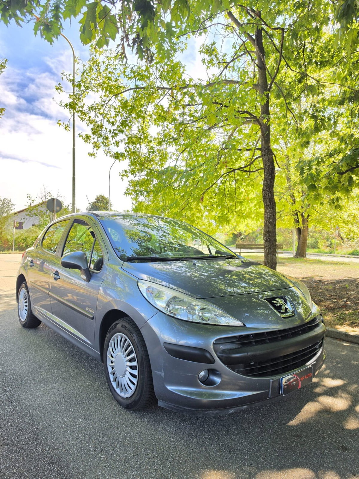Peugeot 207 8V 75CV 5p. Energie (3)