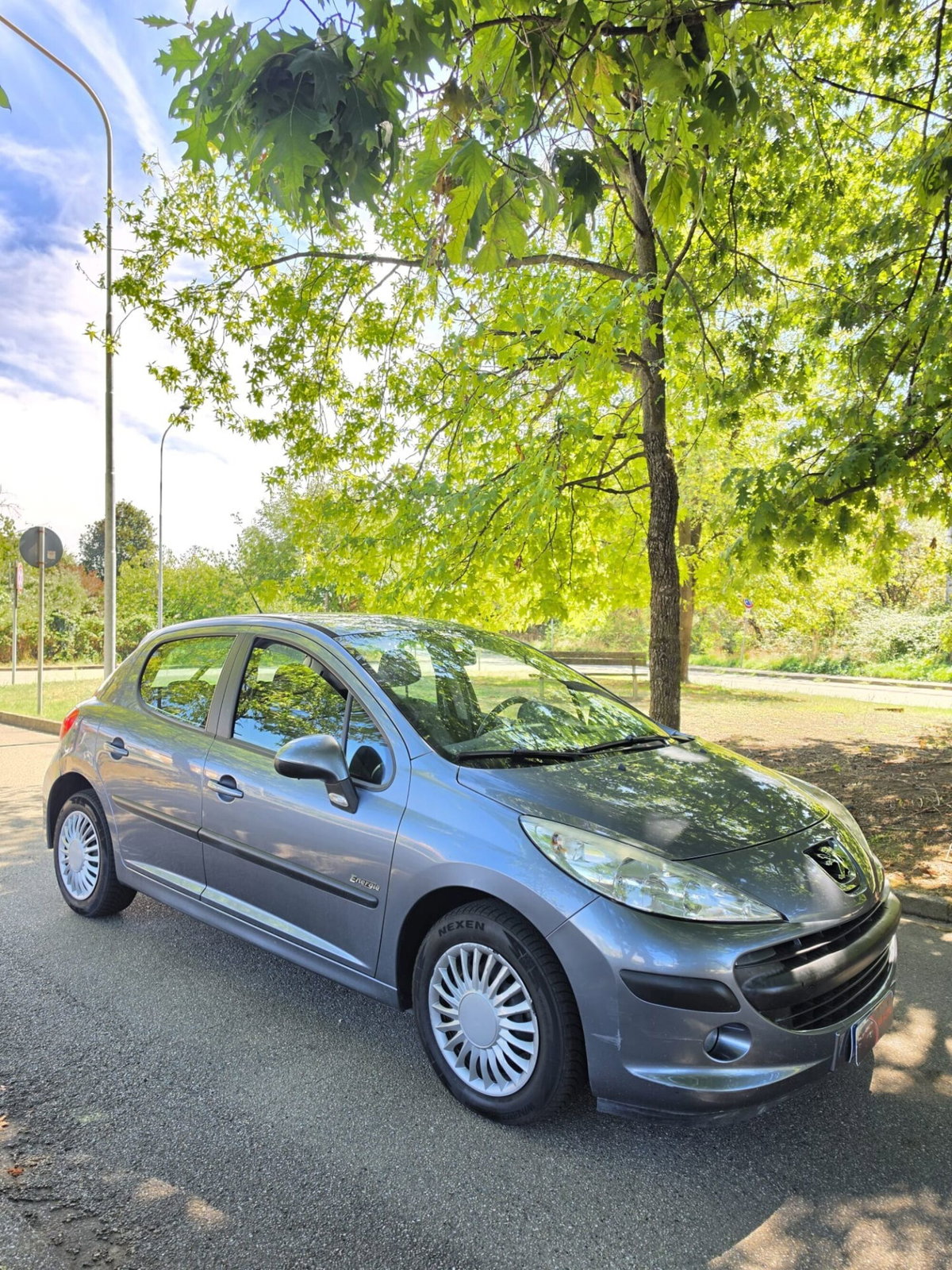Peugeot 207 8V 75CV 5p. Energie (8)