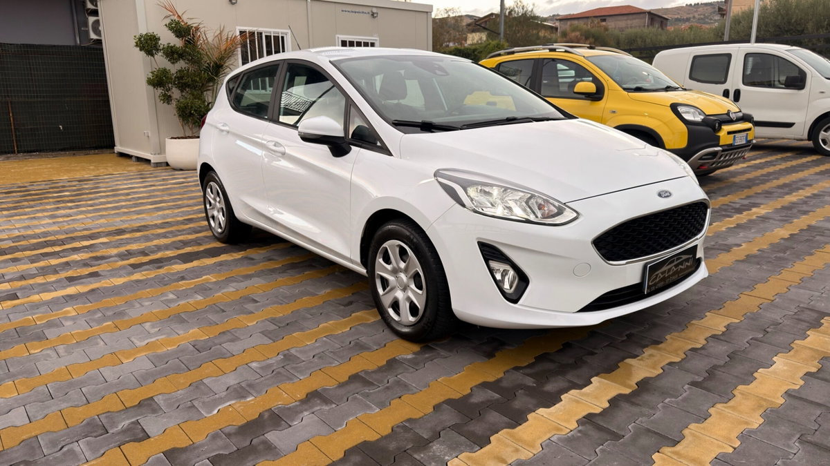Ford Fiesta 1.5 EcoBlue 5 porte (2)