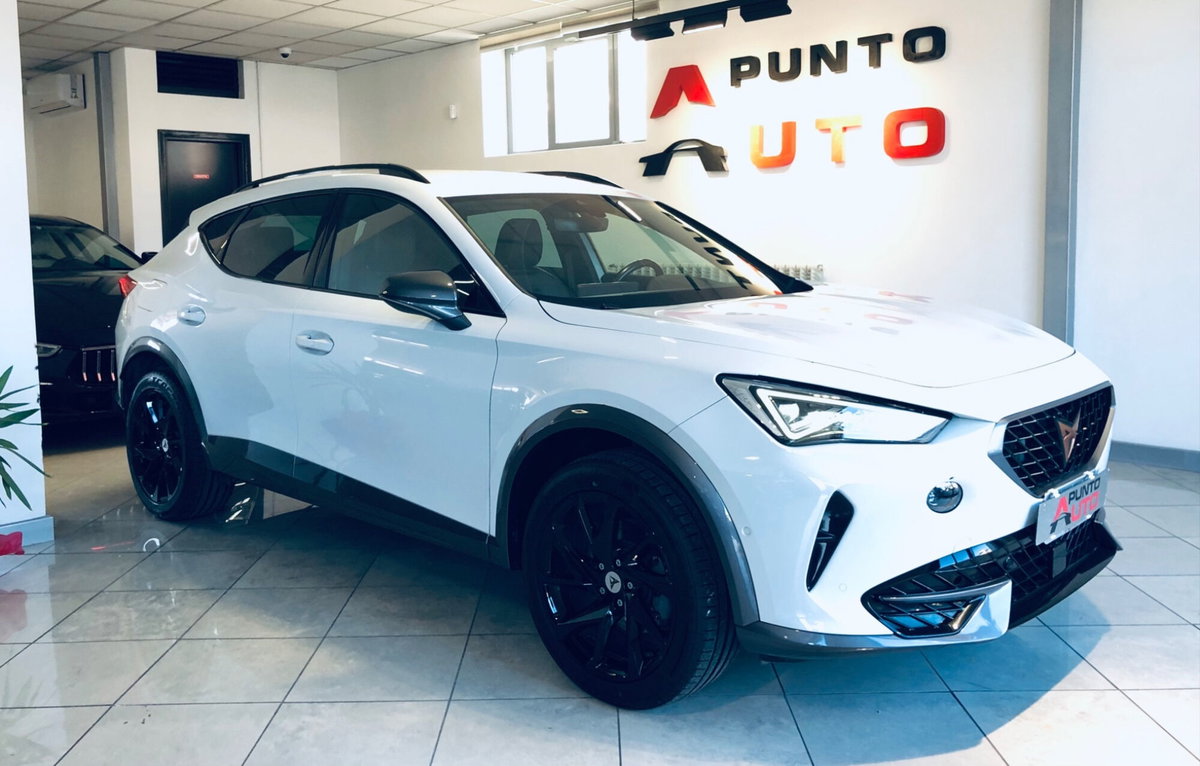 Cupra Formentor Formentor 1.5 TSI (19)