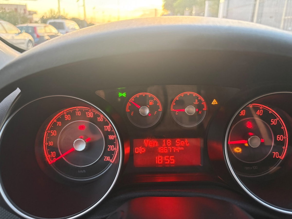 Fiat Punto Evo 1.3 Mjt 95 CV DPF 5 porte S&S Dualogic Dynamic (12)
