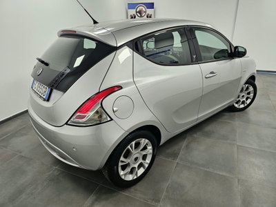 Lancia Ypsilon 1.2 69 CV 5 porte Platinum (4)