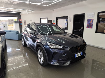 Cupra Formentor Formentor 2.0 tdi 4drive 150cv dsg (15)