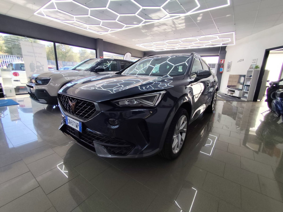 Cupra Formentor Formentor 2.0 tdi 4drive 150cv dsg (5)