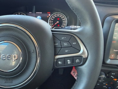 Jeep Renegade 1.6 Mjt 130 CV Limited (14)
