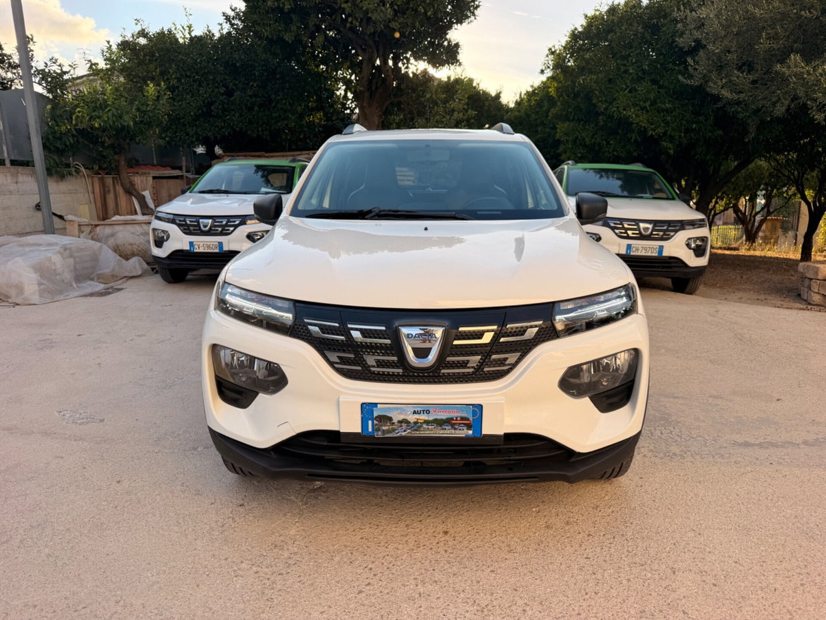 Dacia Spring Business Electric 45 (3)