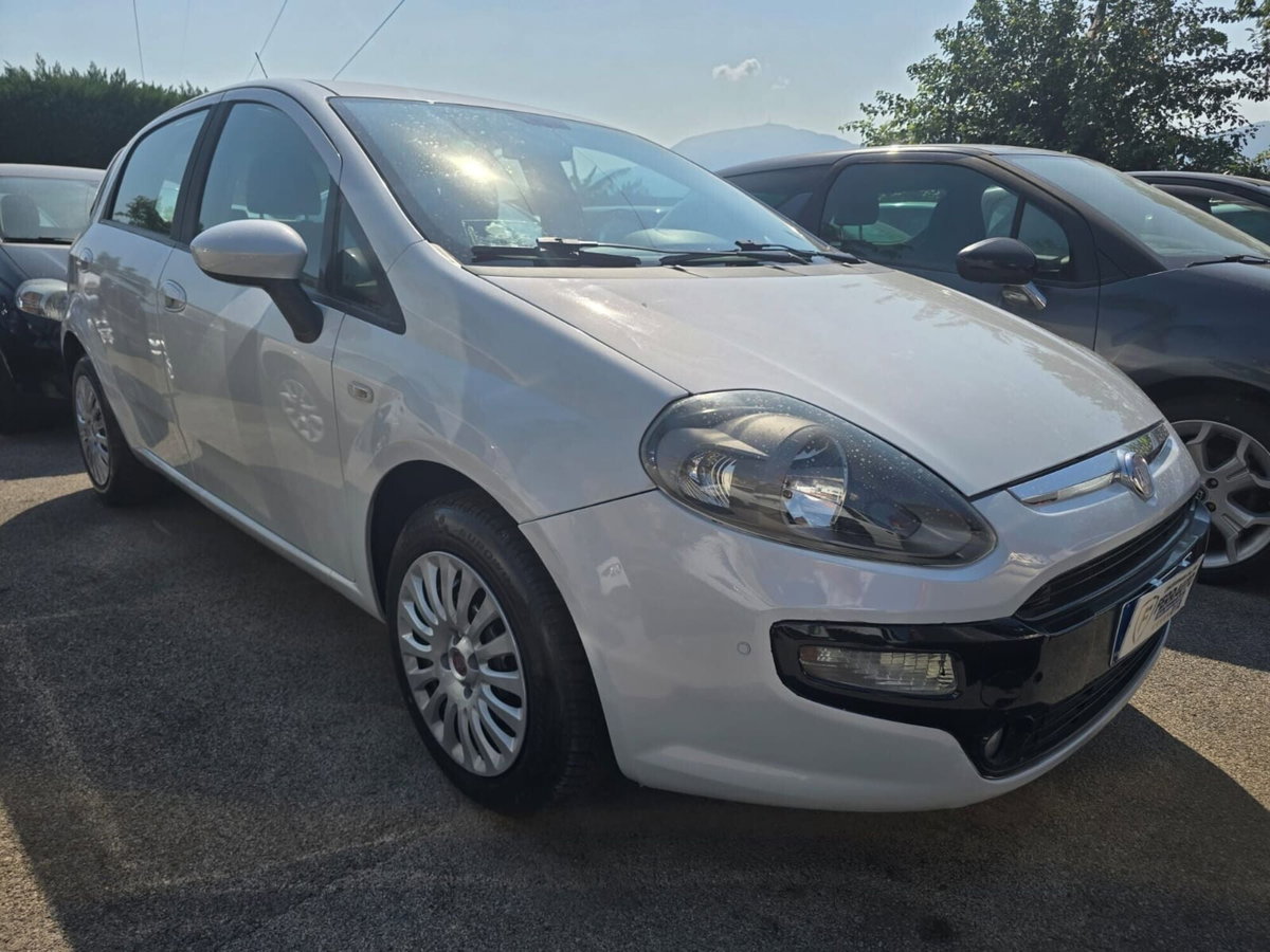 Fiat Punto Evo 1.4 5 porte Dynamic EasyPower (2)