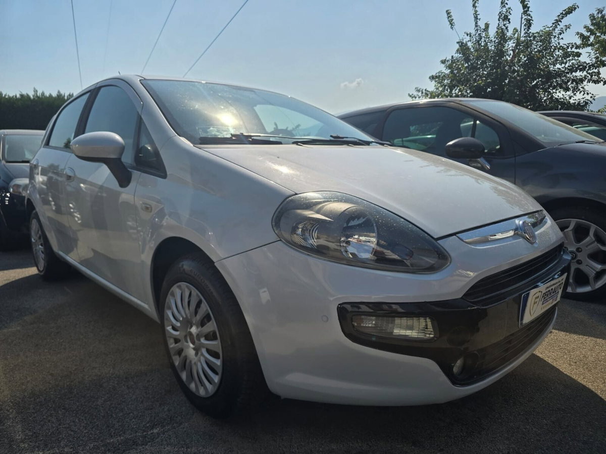Fiat Punto Evo 1.4 5 porte Dynamic EasyPower (3)
