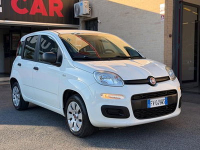 Fiat Panda 1.2 Easy usata
