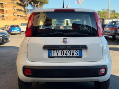Fiat Panda 1.2 Easy (5)