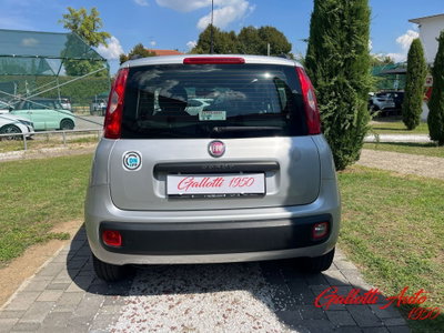 Fiat Panda 1.2 Easy (6)