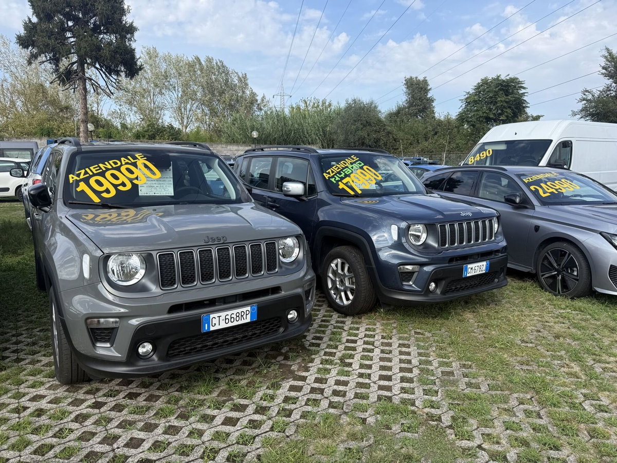 Jeep Renegade 1.3 T4 190CV PHEV 4xe AT6 Limited (2)