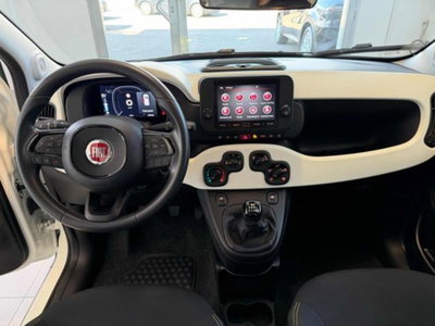 Fiat Panda Cross 1.0 firefly hybrid Cross s&s 70cv 5p.ti (13)