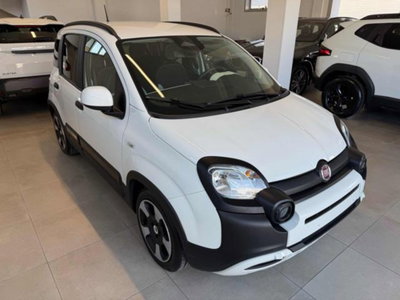 Fiat Panda Cross 1.0 firefly hybrid Cross s&s 70cv 5p.ti (3)