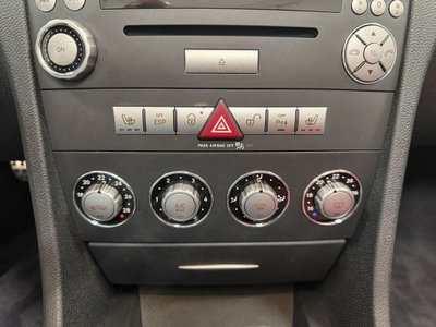Mercedes-Benz SLK 200 Kompressor cat (11)