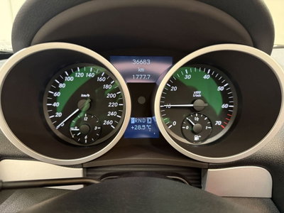 Mercedes-Benz SLK 200 Kompressor cat (5)