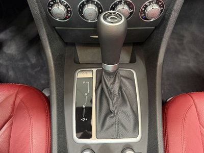Mercedes-Benz SLK 200 Kompressor cat (6)