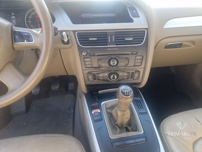 Audi A4 2.0 TDI 143CV F.AP. Advanced (10)