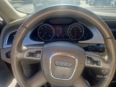 Audi A4 2.0 TDI 143CV F.AP. Advanced (11)