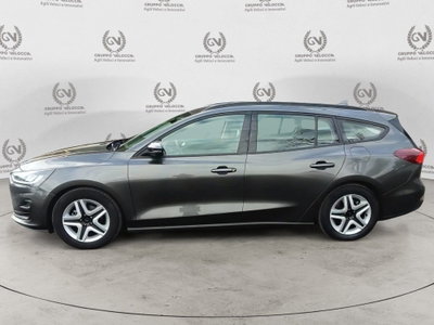 Ford Focus Station Wagon 1.5 EcoBlue 120 CV automatico SW Business (8)