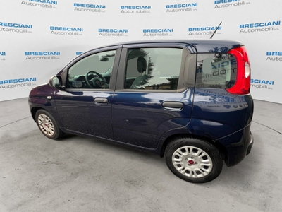 Fiat Panda Cross Cross 1.0 FireFly S&S Hybrid (3)