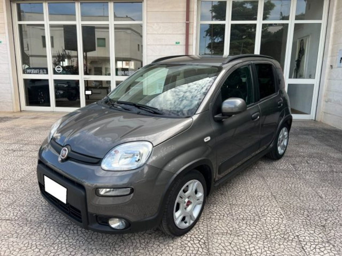 Fiat Panda 1.0 firefly hybrid s&s 70cv 5p.ti (19)