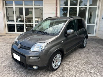 Fiat Panda 1.0 firefly hybrid s&s 70cv 5p.ti (19)