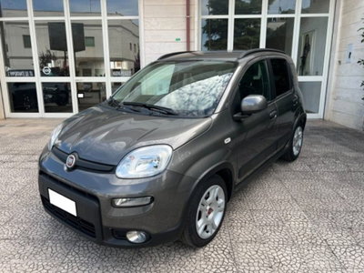 Fiat Panda 1.0 firefly hybrid s&s 70cv 5p.ti (2)