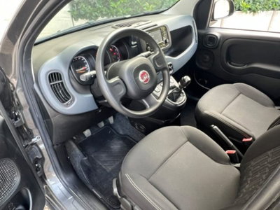 Fiat Panda 1.0 firefly hybrid s&s 70cv 5p.ti (8)