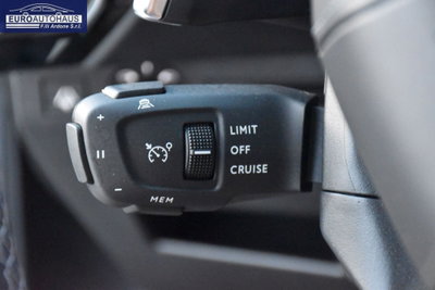 Ds DS 7 1.5 bluehdi Rivoli 130cv auto (15)
