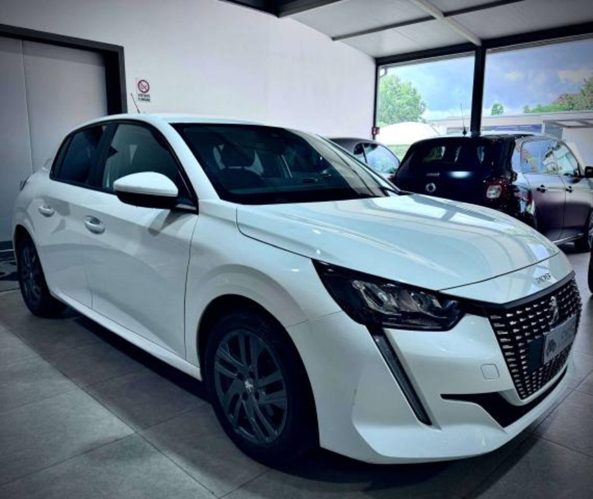 Peugeot 208 BlueHDi 100 Stop&Start 5 porte Active Pack (4)