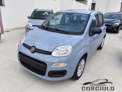 Fiat Panda 1.0 firefly hybrid Pop s&s 70cv usata