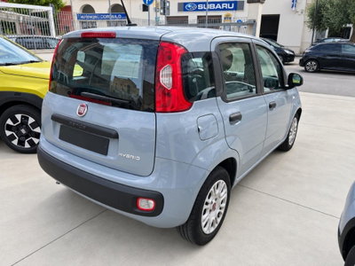 Fiat Panda 1.0 firefly hybrid Pop s&s 70cv (3)