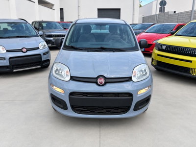 Fiat Panda 1.0 firefly hybrid Pop s&s 70cv (6)