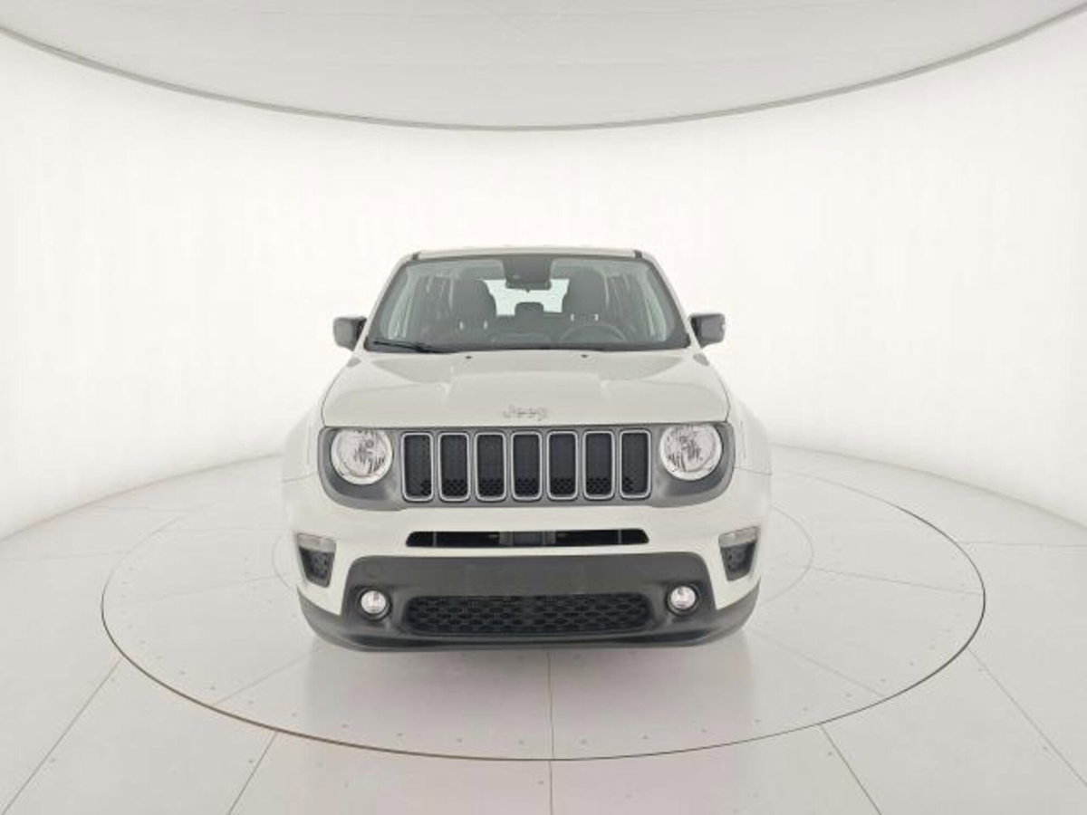 Jeep Renegade 1.6 mjt Limited 2wd 130cv (15)