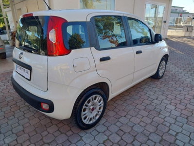 Fiat Panda 1.3 MJT S&S Easy (4)