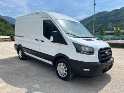 Ford Transit Furgone 310 2.0TDCi EcoBlue 130 aut. PM-TM Furgone Trend (3)