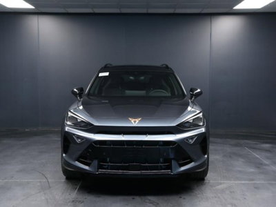 Cupra Formentor 2.0 tsi VZ 4drive 333cv dsg (6)