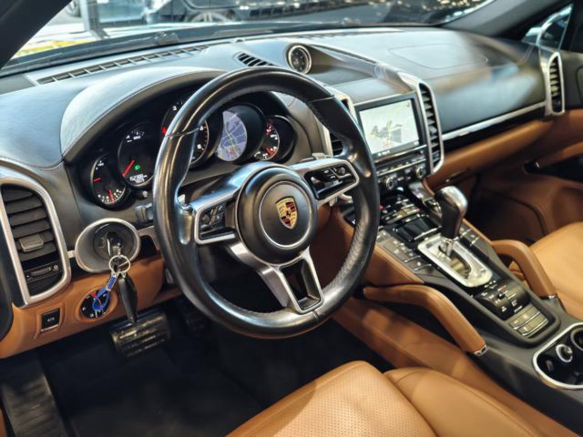 Porsche Cayenne 3.0 Diesel Platinum Edition (9)