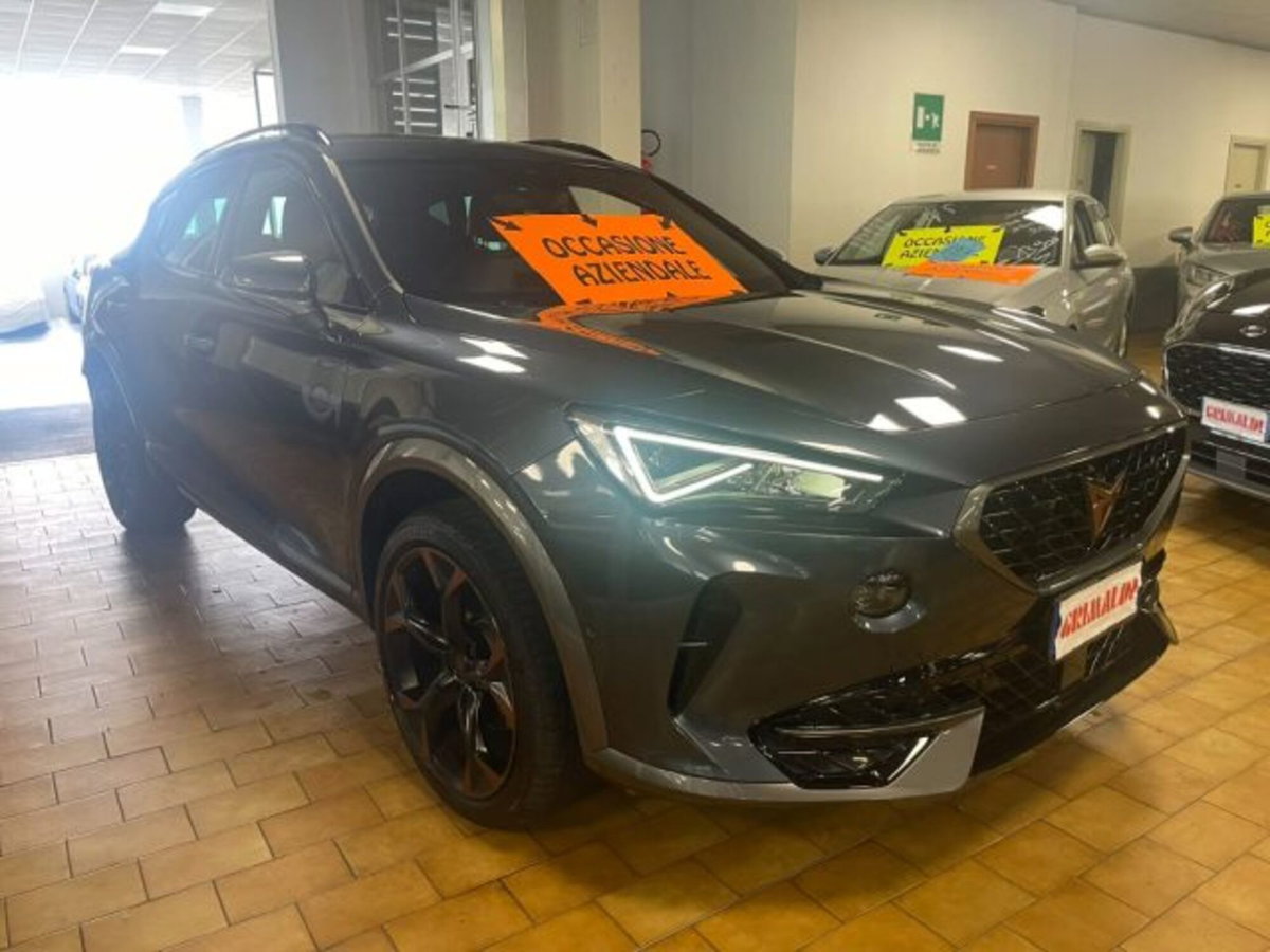 Cupra Formentor Formentor 1.5 TSI (2)