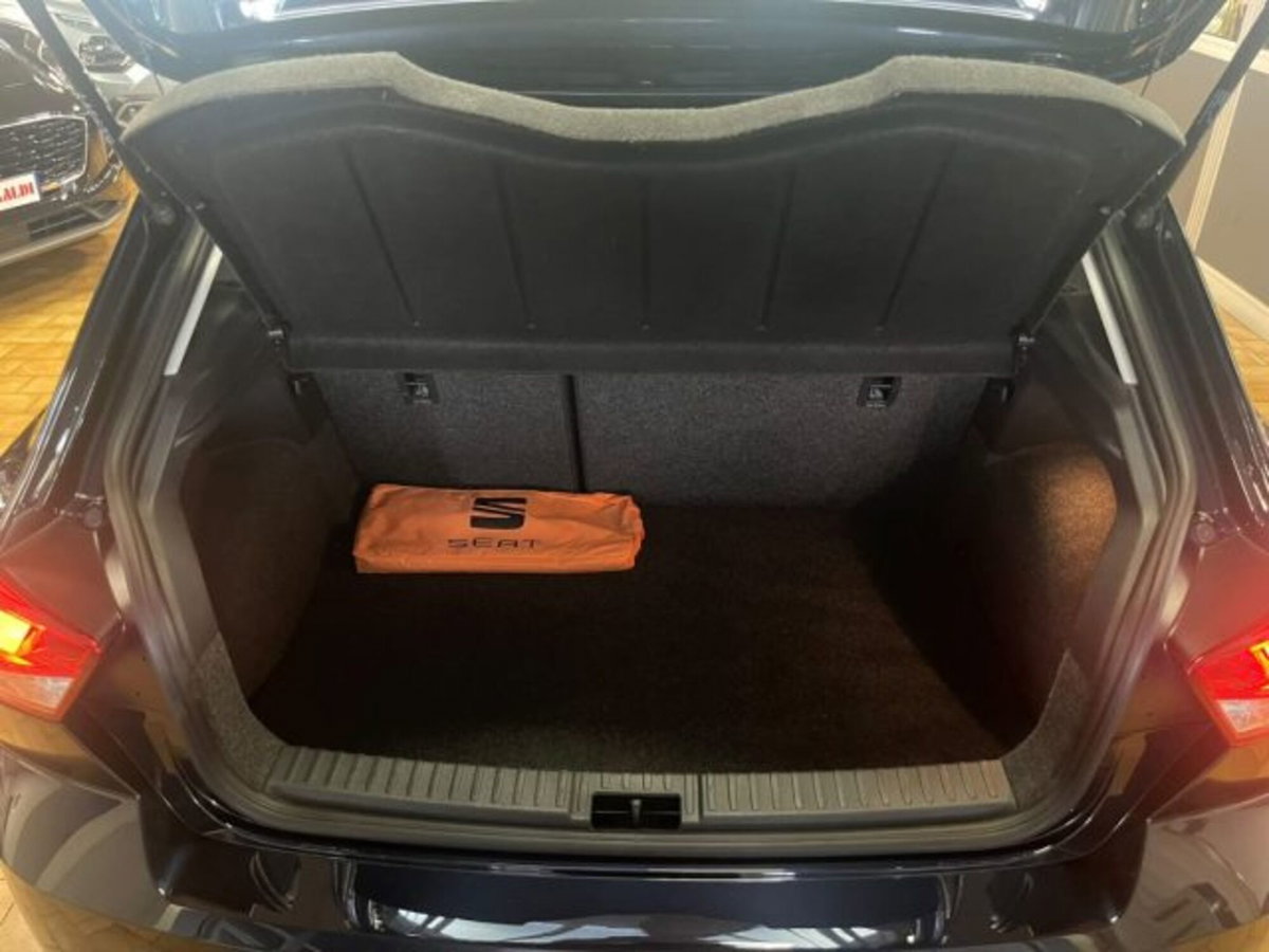 SEAT Ibiza 1.0 TGI 5 porte Business (5)