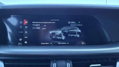 Alfa Romeo Stelvio Stelvio 2.2 Turbodiesel 210 CV AT8 Q4 Veloce (18)