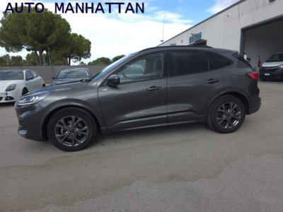Ford Kuga 2.0 EcoBlue 120 CV aut. 2WD ST-Line X usata