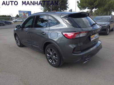 Ford Kuga 2.0 EcoBlue 120 CV aut. 2WD ST-Line X (2)