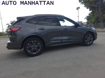 Ford Kuga 2.0 EcoBlue 120 CV aut. 2WD ST-Line X (5)