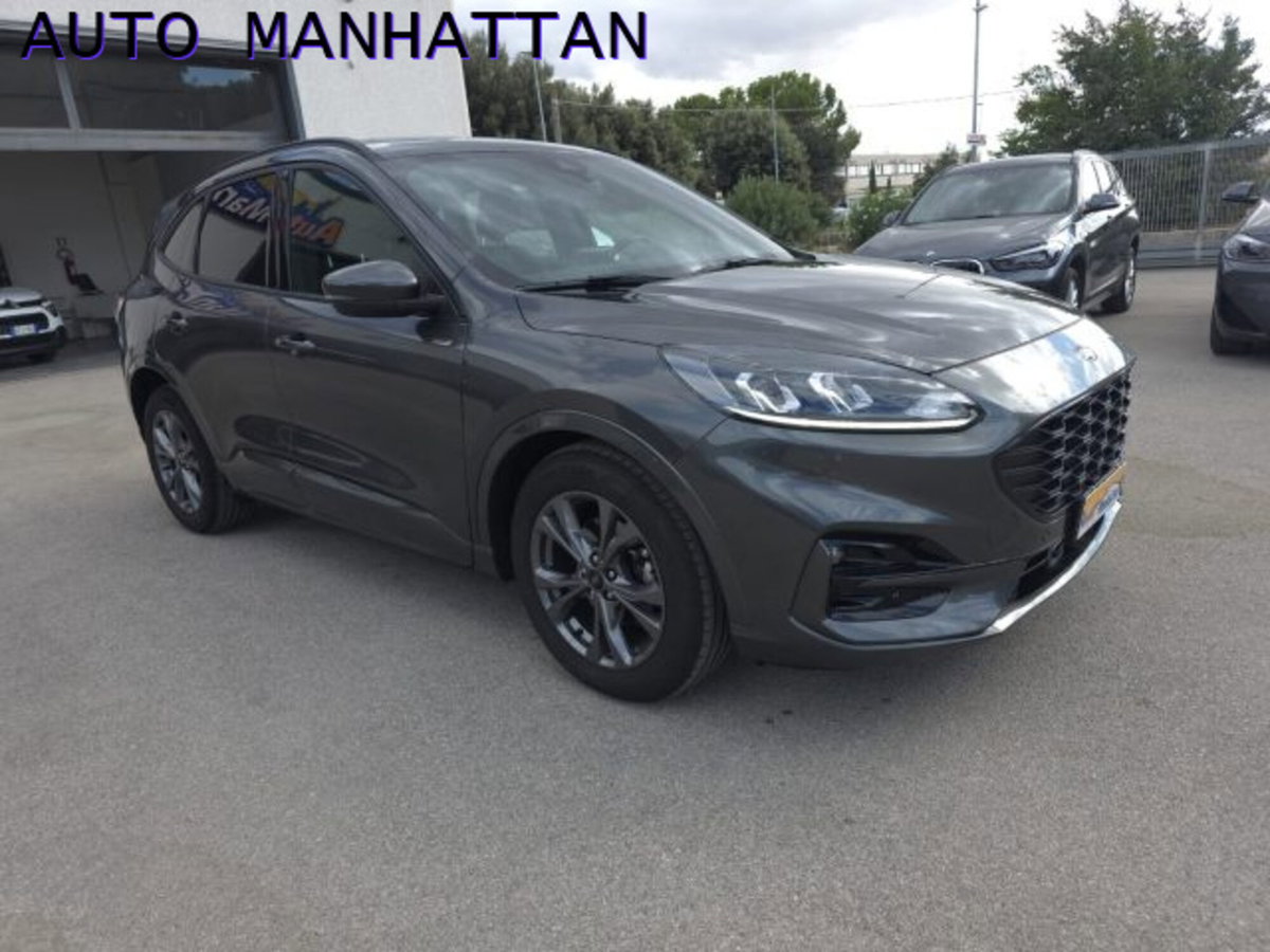 Ford Kuga 2.0 EcoBlue 120 CV aut. 2WD ST-Line X (6)