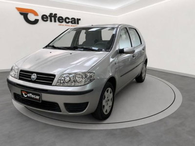 Fiat Punto 60 cat 5 porte S usata